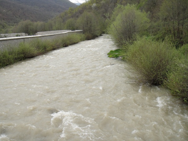 - cerbiya2010.
